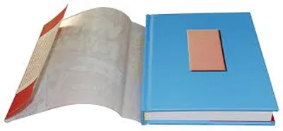 Hình ảnh minh họa dust jacket - Ảnh 2